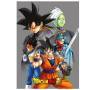 Polar Blanket 100 x 140 cm. Dragon Ball