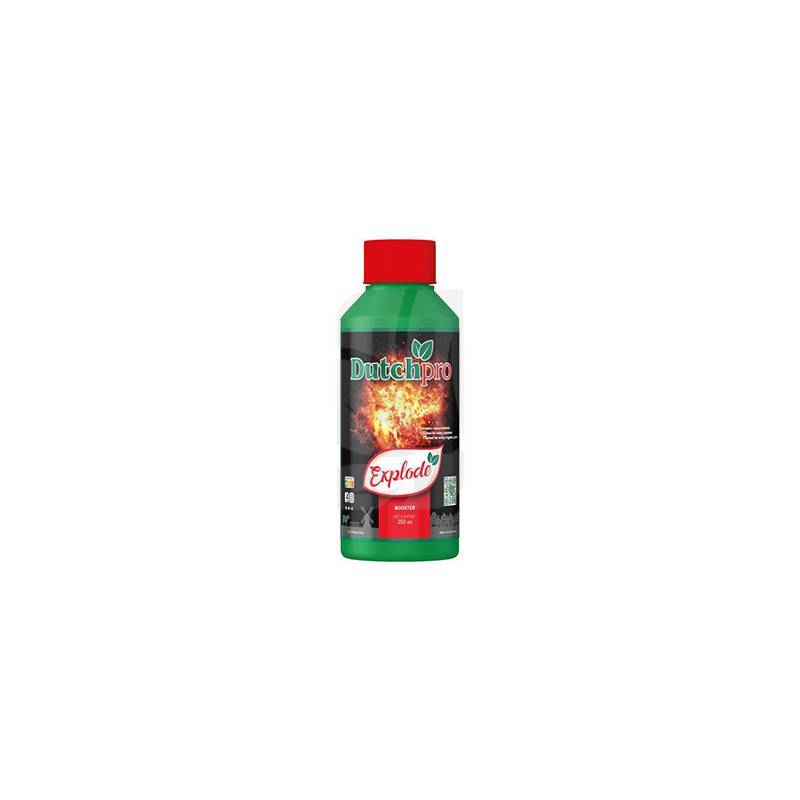 Explode Dutchpro 250 ml. Explode Dutchpro 250 ml.