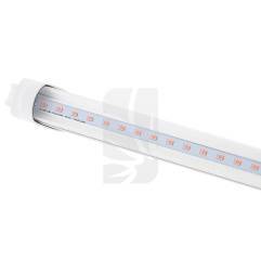 Buy Full Spectrum Tube 60cm. 10W Solux Cheap