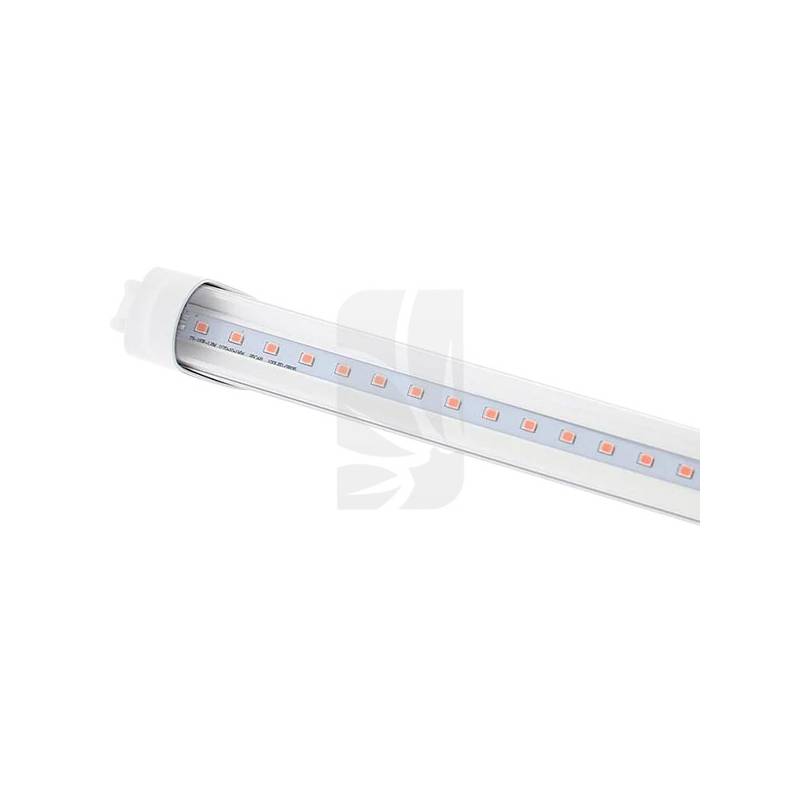 Full Spectrum Tube 60cm. 10W Solux