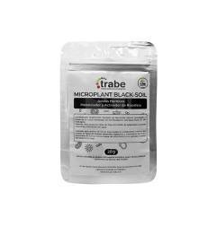 Buy Microplant Black Soil 20 gr. Trabe Online