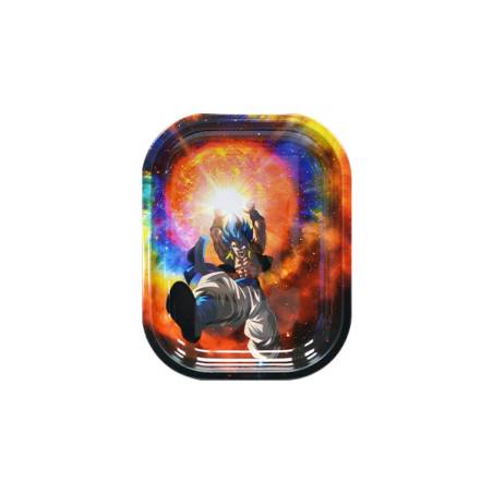 Buy Gogeta Tray 18 x 14 cm. for liar