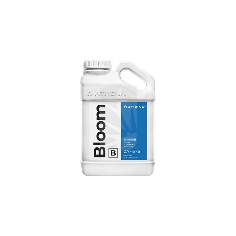 Bloom B 0.94 Liters Athena Bloom B 0.94 Liters Athena