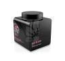 High Bloom de 1.25 litros The Hype Company High Bloom de 1.25 litros The Hype Company