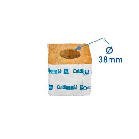 Taco de Siembra 75 x 75 x 65 mm. (Plug 38 x 35 mm.)