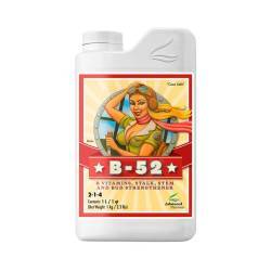 B-52 Fertilizer Booster de 1 Litro