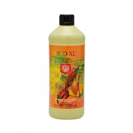 Bud XL de 1 Litro H&G