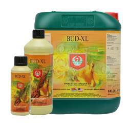 Bud XL de 1 Litro H&G