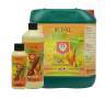 Bud XL de 1 Litro H&G Bud XL de 1 Litro H&G