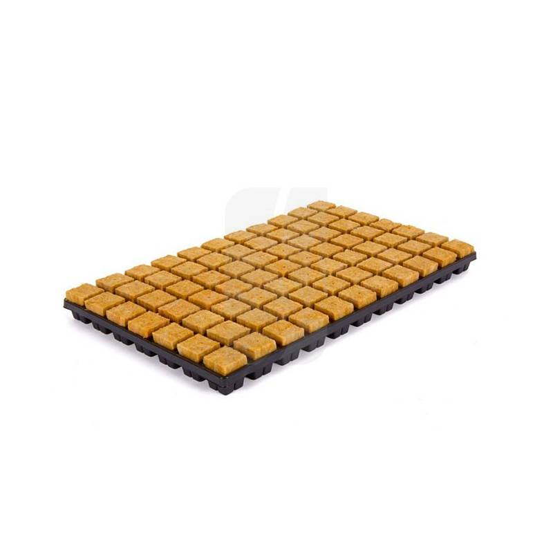 Bandeja 35x35x40 mm 77 Alveolos Bandeja 35x35x40 mm 77 Alveolos