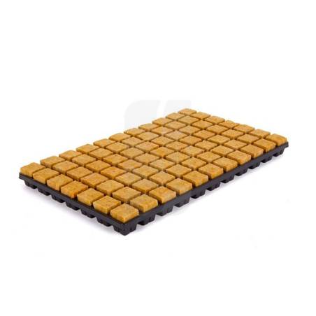 Bandeja 35 x 35 x 40 mm - 77 Alveolos