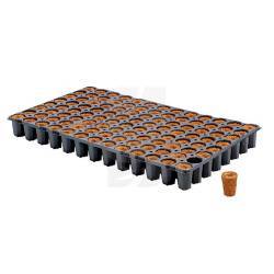 Bandeja Dried Eazy Plug 104 Alveolos