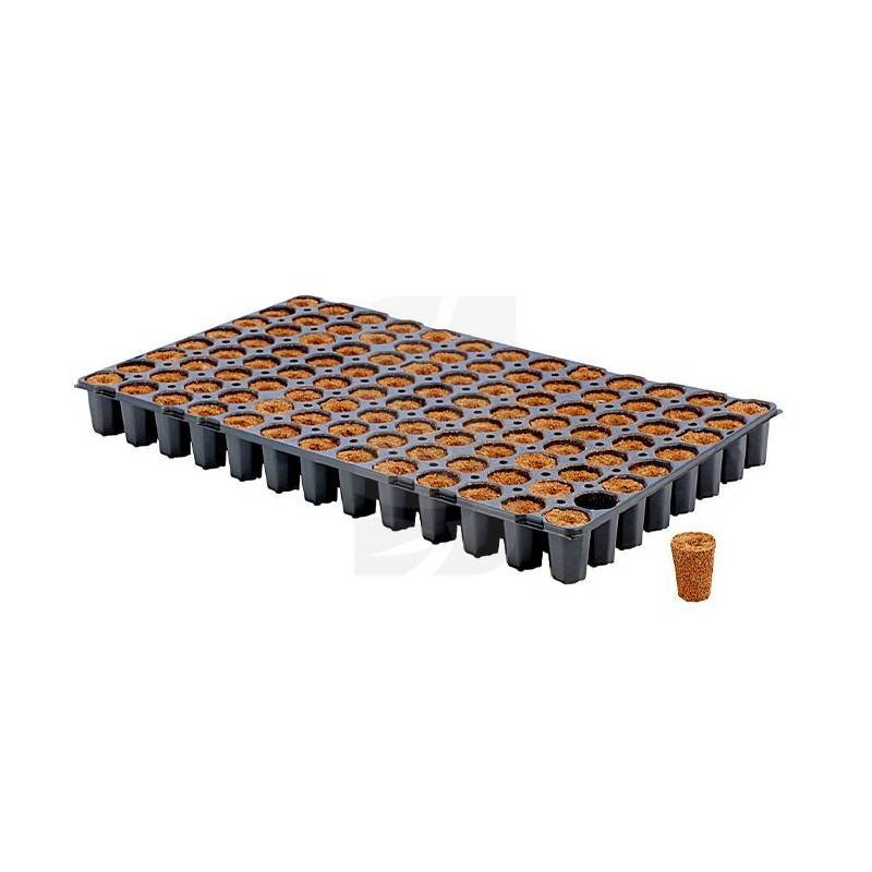 Bandeja Dried Eazy Plug 104 Alveolos Bandeja Dried Eazy Plug 104 Alveolos