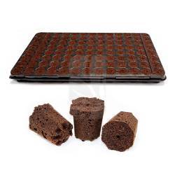 Buy Plugin Tray for cuttings 104 CELLS