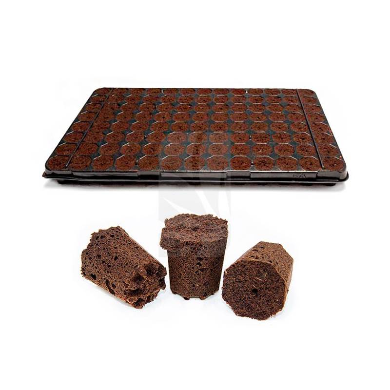 Plugins Pro 1 Tray 104 Cells