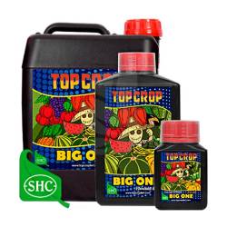 Big One TOP CROP organic flowering stimulator