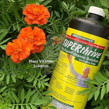 SuperThrive de 960 ml.