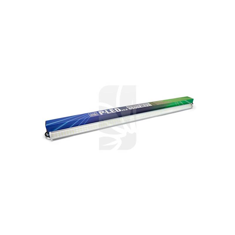 P-Led V2.0 42W 6500k Crecimiento