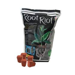 Root Riot Propagation Plugs 50 Units Cheap