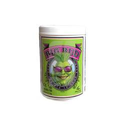 Big Bud Poudre 1 kg Advanced Nutrients Floraison