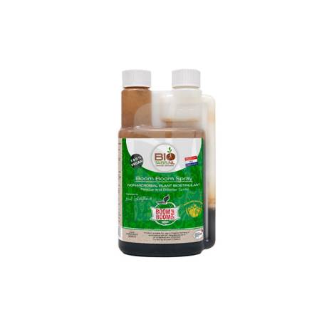 Boom Boom Spray 250 ml. Biotabs günstig