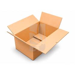 Buy Propagator Tray Box 54x32x15 cm