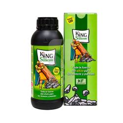 King Silicon 1 Liter Trabe | Bioavailable Silicon