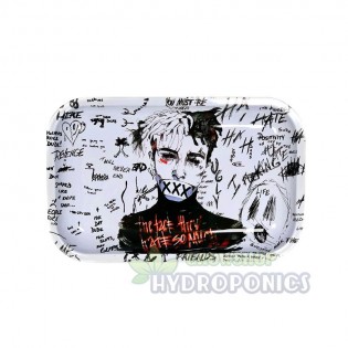 Acheter ➡️  Pack de parafernalia XXX Plateau, briquet