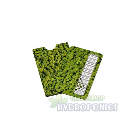 Pack Green