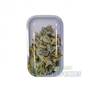 Productos de parafernalia | Pack White 12.05 € AQUI