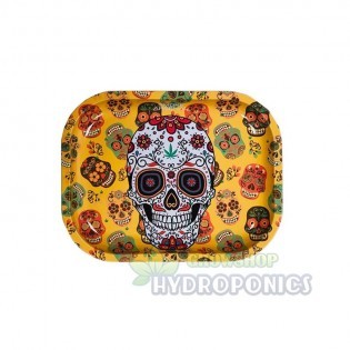 PACK SKULLS || Parafernalia online ✅