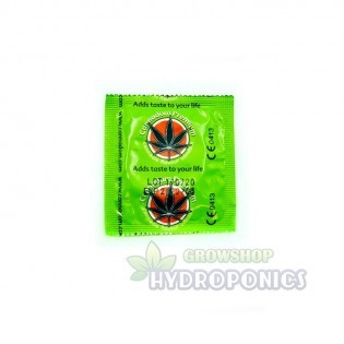 PACK DON'T SMOKE - Parafernalia online barata ✨