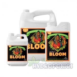 Bloom Ph Perfect 5 Litros Advanced Nutrients