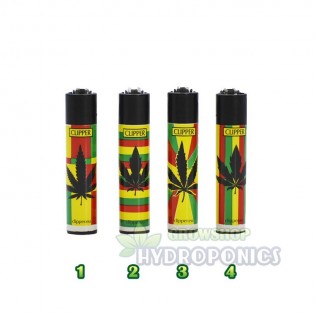 PACK JAMAICANO. La mejor oferta online. ⚡ HYDROPONICS BLANES ⚡
