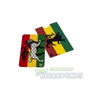 PACK JAMAICANO. La mejor oferta online. ⚡ HYDROPONICS BLANES ⚡