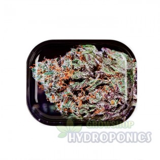 Comprar pack Bubble Gum ▷ Grow Shop Web