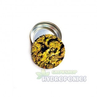 Pack Oferta Percu Especial Hydroponics Blanes ⭐