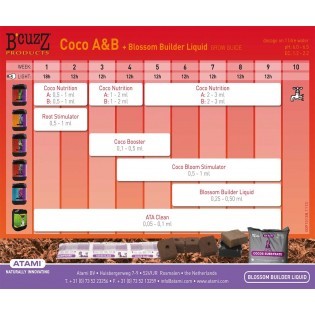 BLOSSOM BUILDER 5 Litros B´CUZZ