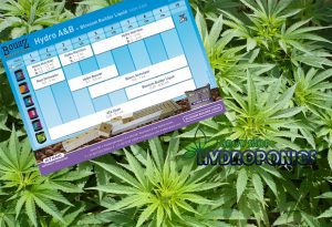 Guia de Cultivo B’Cuzz Hydro A\&B – Guia de Crescimento