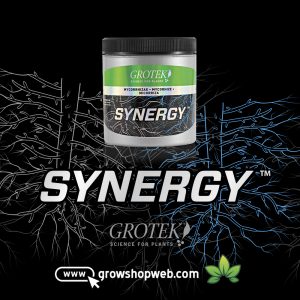What is GROTEK's SYNERGY ROOT MAX?