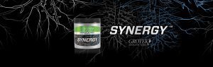 What is SYNERGY ROOT MAX by GROTEK?