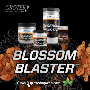What are you Blossom Blaster