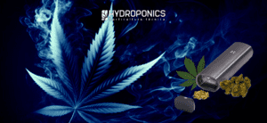 The Best Vaporizers for Cannabis