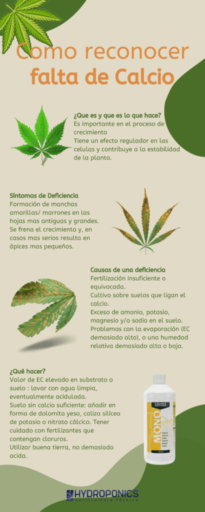 Carencia de Calcio en Cultivo de Marihuana