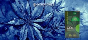Potenziare lo Sviluppo con il CO2 nelle Coltivazioni di Cannabis