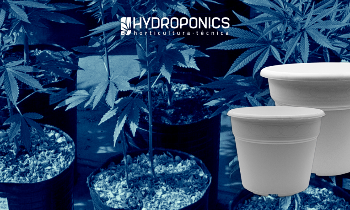 Types of Pots for Cannabis: Choose the Perfect Pot