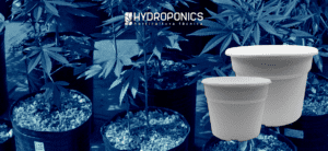 Types of Pots for Cannabis: Choose the Perfect Pot