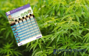 Guide B&rsquo;Cuzz Hydro A&B + Bloombastic – Guide de Culture