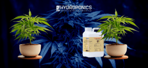 Delta 9 Cannabiogen: Guia Completo de Utilização e Benefícios