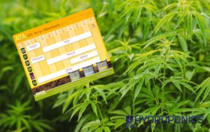 Guida alla Coltivazione Ata Terra+Bloombastic di Atami – Grow Guide